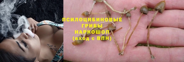 синтетический гашиш Краснослободск