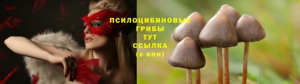 синтетический гашиш Краснослободск