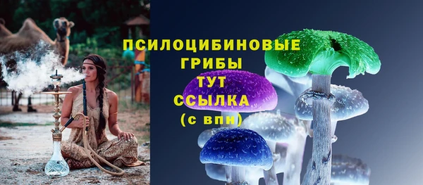 гашик Краснотурьинск